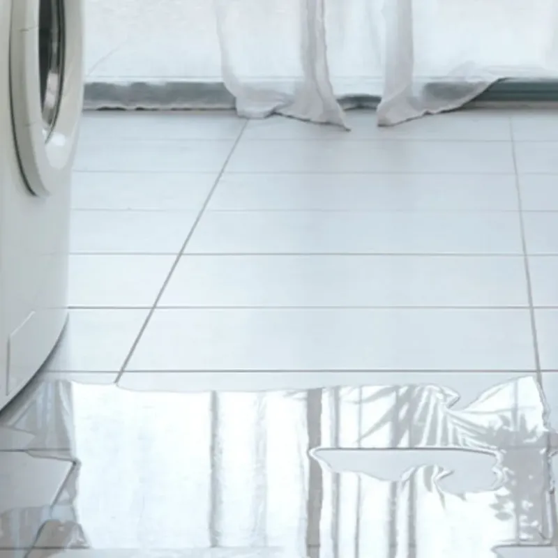 Appliance Leak Cleanup in East Bronson, FL
