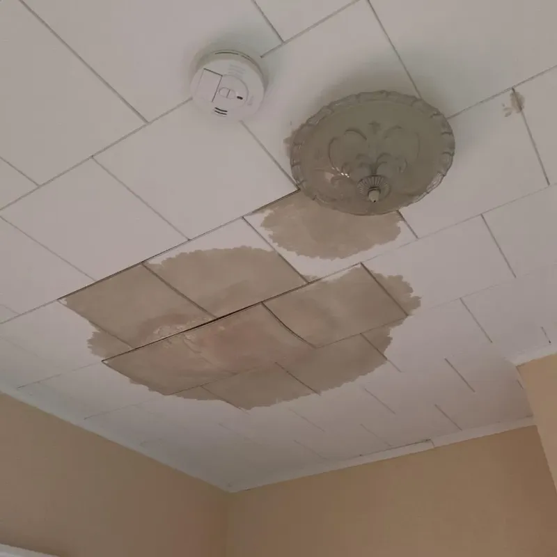 Ceiling Water Damage Repair in East Bronson, FL
